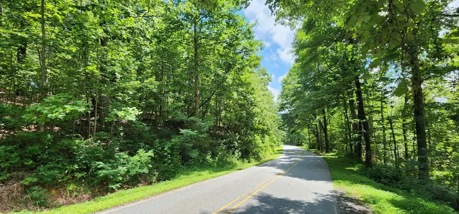 Lot 35 White Oak Mountain Road, Columbus, NC 28722 - Image #2