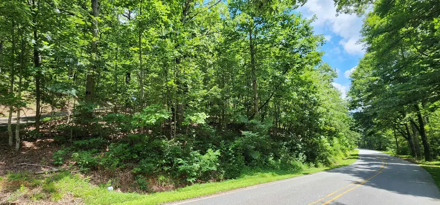 Lot 35 White Oak Mountain Road, Columbus, NC 28722 - Image #3