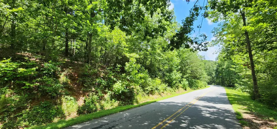Lot 37 White Oak Mountain Road, Columbus, NC 28722 - Image #2