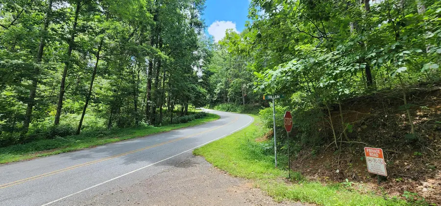 Lot 37 White Oak Mountain Road, Columbus, NC 28722 - Image #3