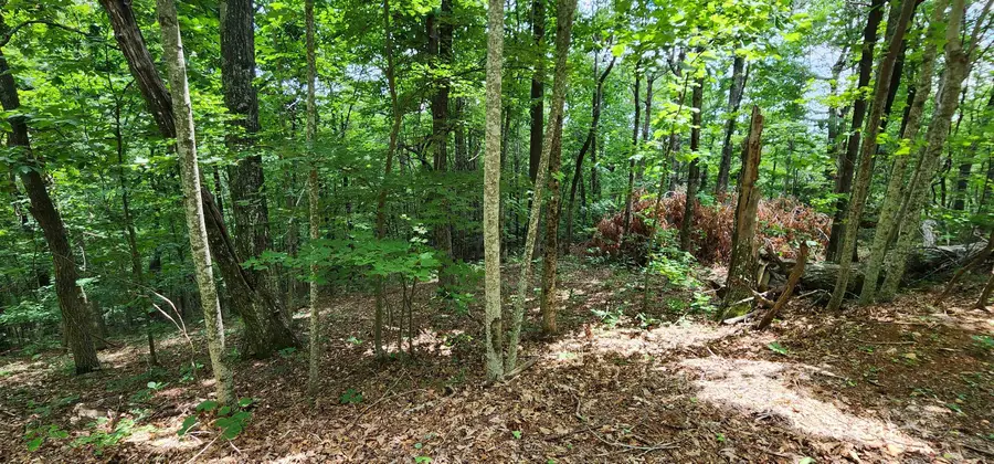 Lot 31 White Oak Mountain Road, Columbus, NC 28722 - Image #3