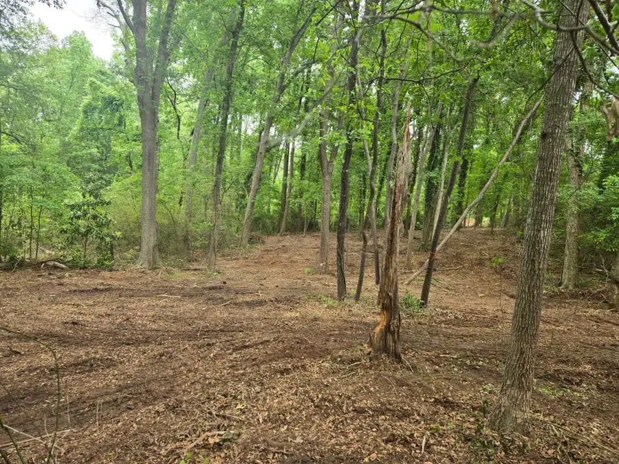 Pepper Street, Central, SC 29630 - Image #2