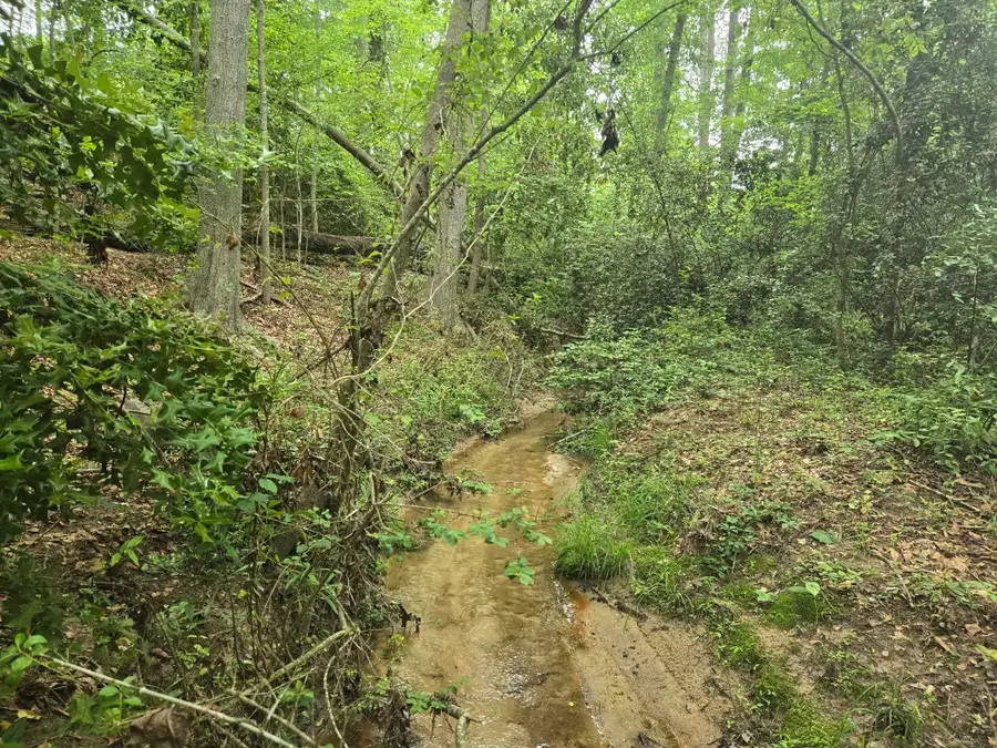 Pepper Street, Central, SC 29630 - Image #3