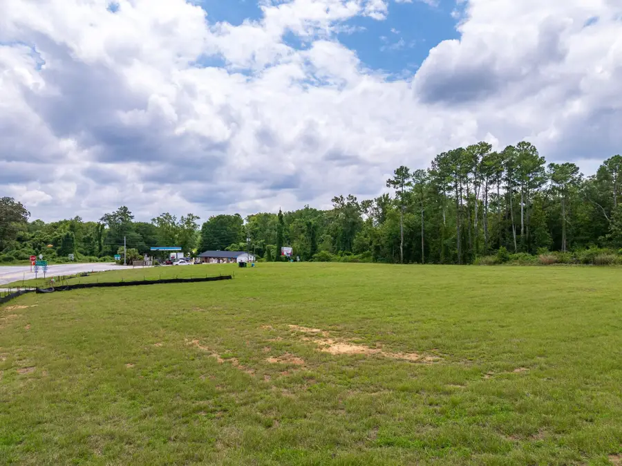 473 Sc 39 Highway, Chappells, SC 29037 - Image #2