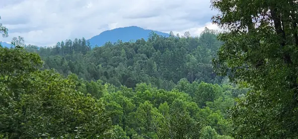 Lot 3 S Cross Creek Trail, Mill Spring, NC 28756