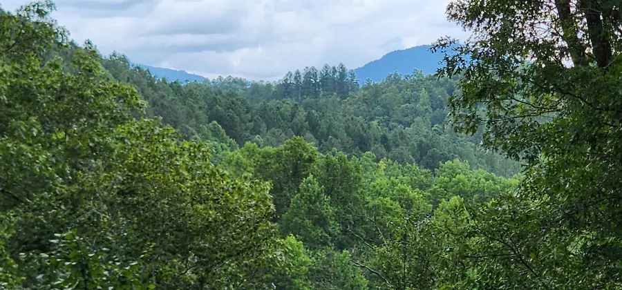 Lot 3 S Cross Creek Trail, Mill Spring, NC 28756 - Image #3