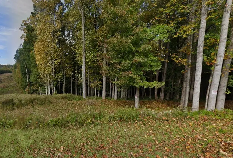 Pine Meadow Drive, Travelers Rest, SC 29690 - Image #1