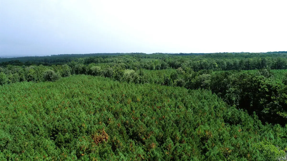 00 Old Edgefield Road, Ninety Six, SC 29666 - Image #1