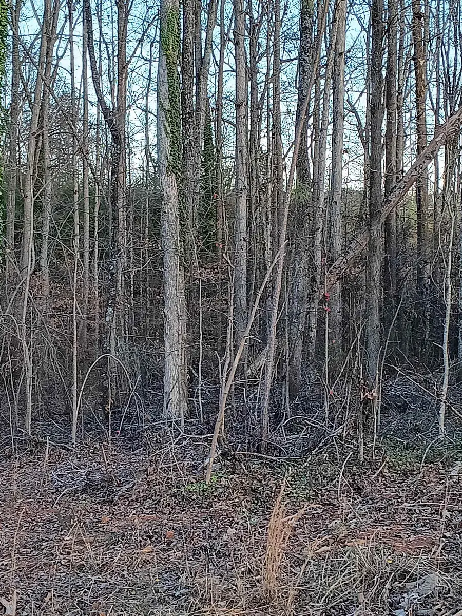 537 Harvest Valley Court, Spartanburg, SC 29303-4324 - Image #3