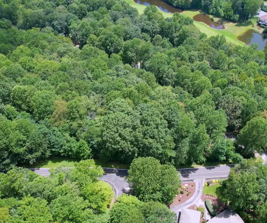 Lot 40 Snap Dragon Way, Landrum, SC 29356 - Image #3