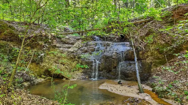 1443 Henderson Road, Gray Court, SC 29645