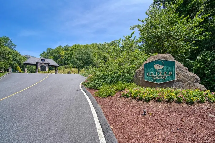 00 Raven Road, Landrum, SC 29356 - Image #2