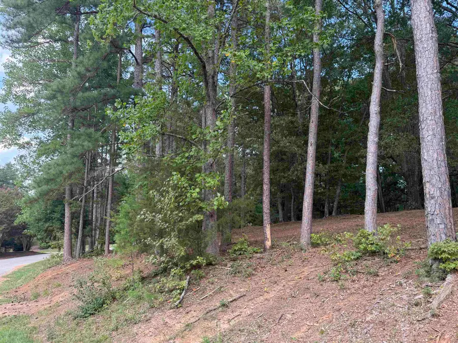 276 Saranac Drive, Spartanburg, SC 29307 - Image #2