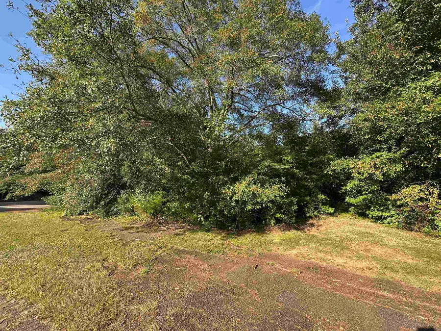 107 Brooklyn Church Road, Chesnee, SC 29323 - Image #3