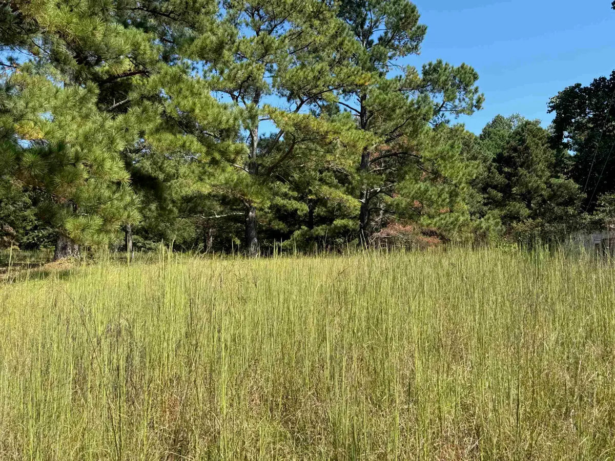 0 Water Mill Road, Cowpens, SC 29330 - Image #1