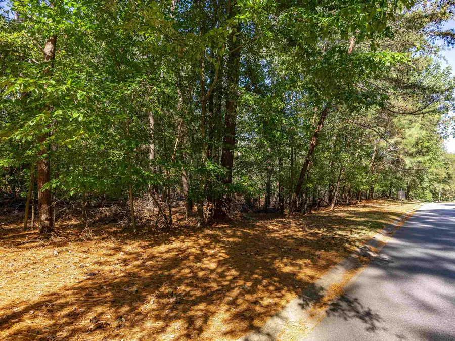 301 Carolina Club Dr, Spartanburg, SC 29306 - Image #3