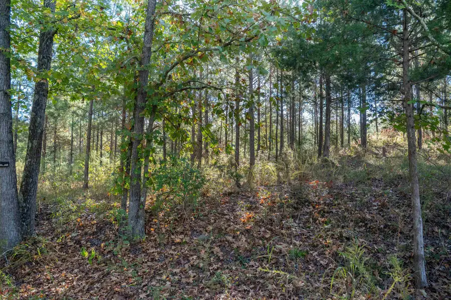 735 Gwinn Mill Road, Pauline, SC 29374 - Image #2