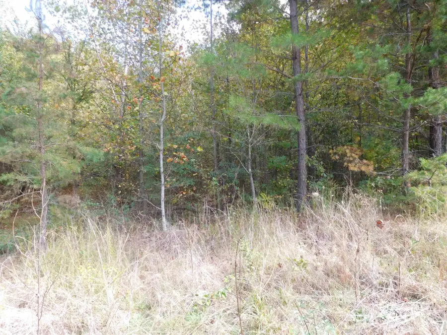 TBD Lyman Drive Drive, Blacksburg, SC 29702 - Image #2