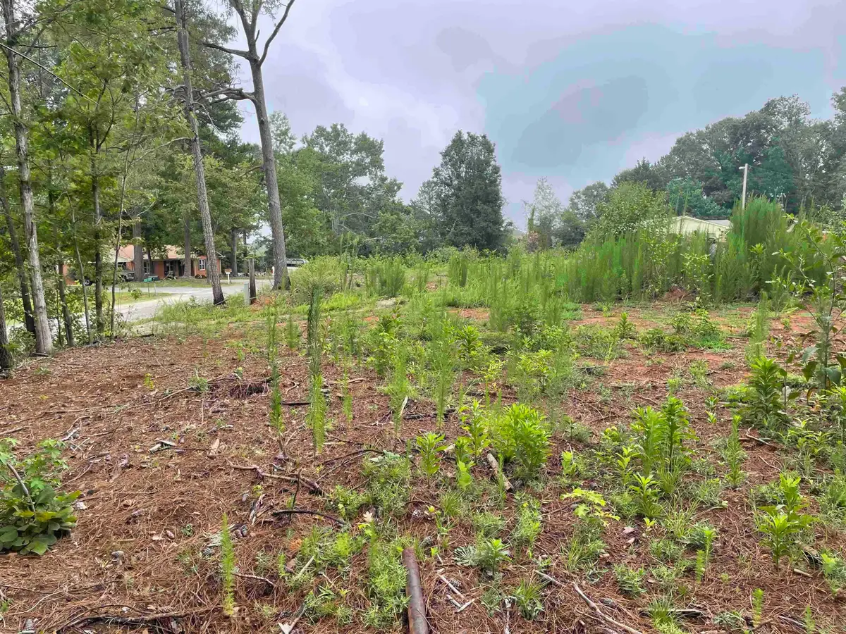 114 Blue Coat Rd, Chesnee, SC 29323 - Image #1