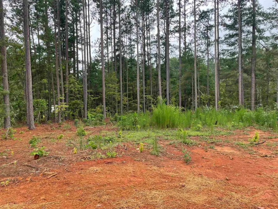 114 Blue Coat Rd, Chesnee, SC 29323 - Image #2