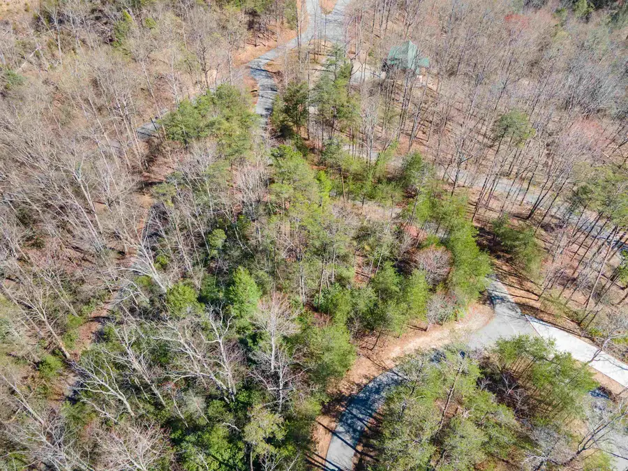 126 Kellerman Point, Lake Lure, NC 28746 - Image #3