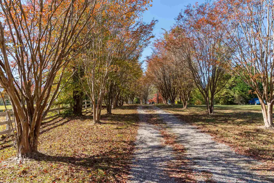 370 Sunset Road, Landrum, SC 29356 - Image #2