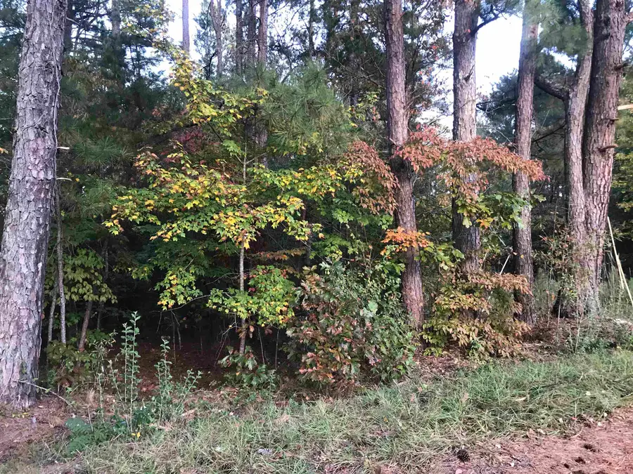 00 Crenshaw Road, Cowpens, SC 29330 - Image #2