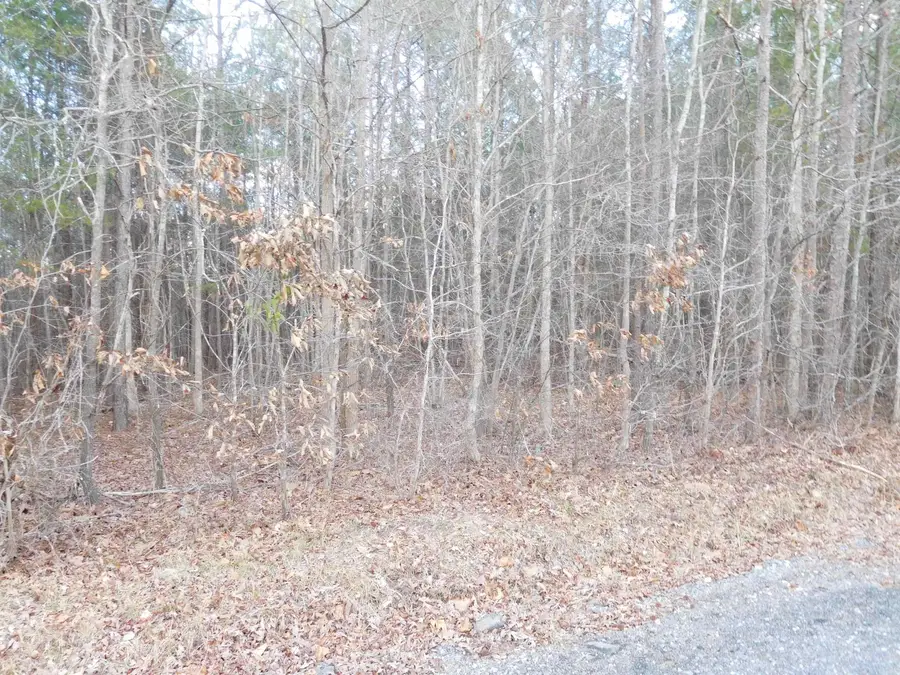 TBD Tanners Road Road, Smyrna, SC 29743 - Image #2