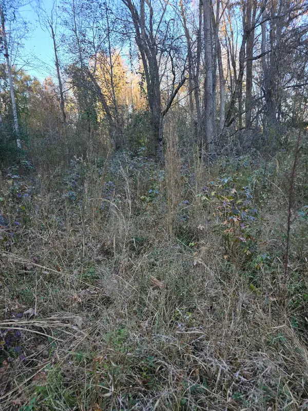 0 Graham Chapel Road, Cowpens, SC 29330