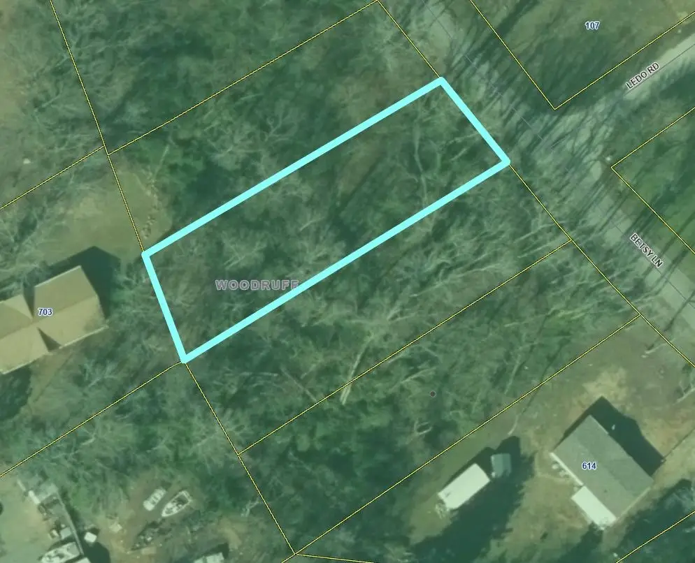 000 Betsy Lane, Woodruff, SC 29388 - Image #1