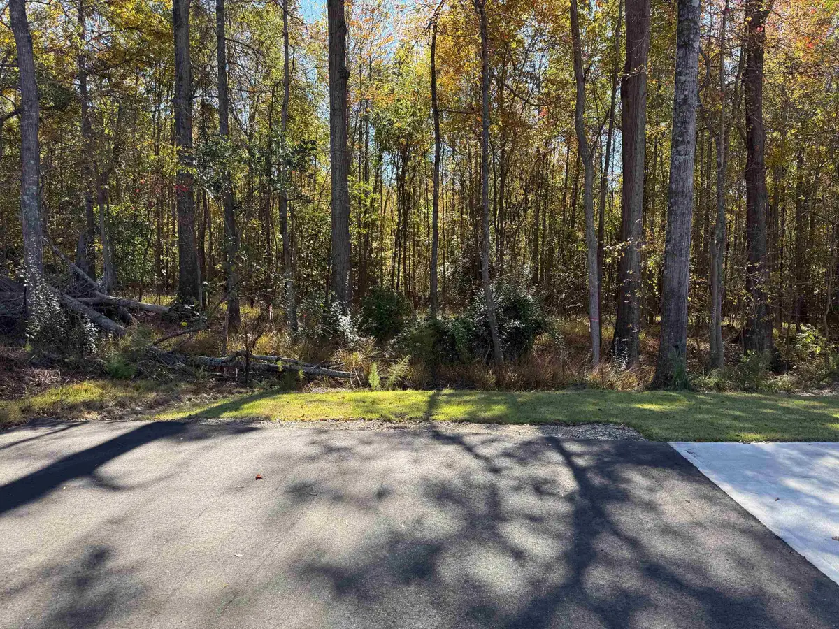 131 Wolf King Way, Woodruff, SC 29388 - Image #1