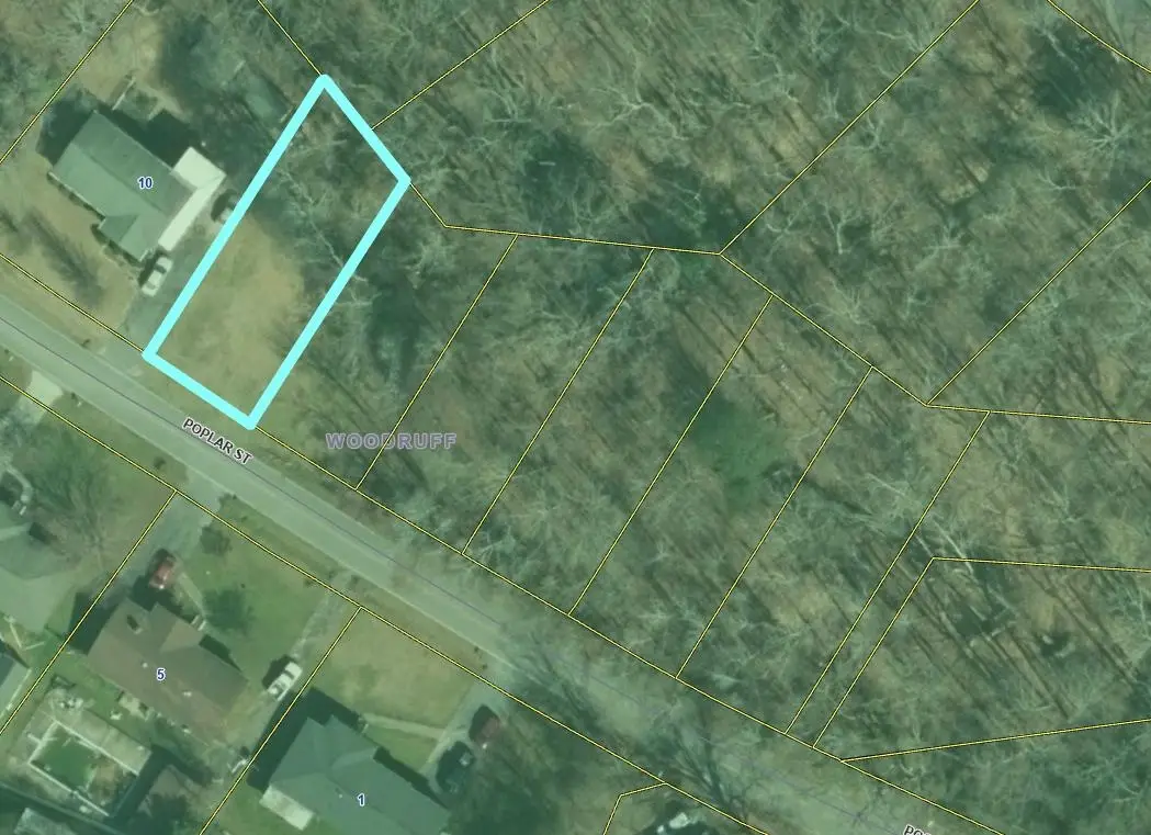 000000 Poplar Street, Woodruff, SC 29388 - Image #1