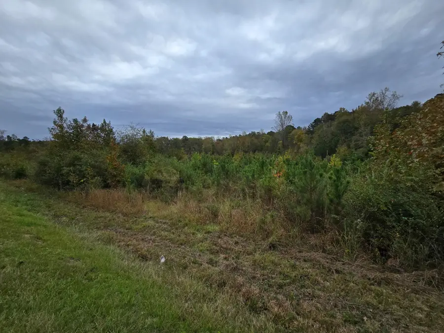 0 E Highway 378, McCormick, SC 29835 - Image #2