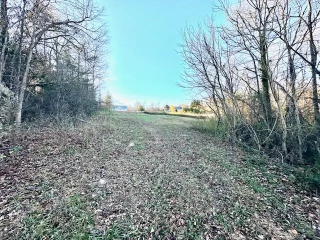 184 Spivey Creek Road, Landrum, SC 29356 - Image #3