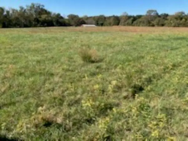 00 Cudd Drive, Chesnee, SC 29323-0845