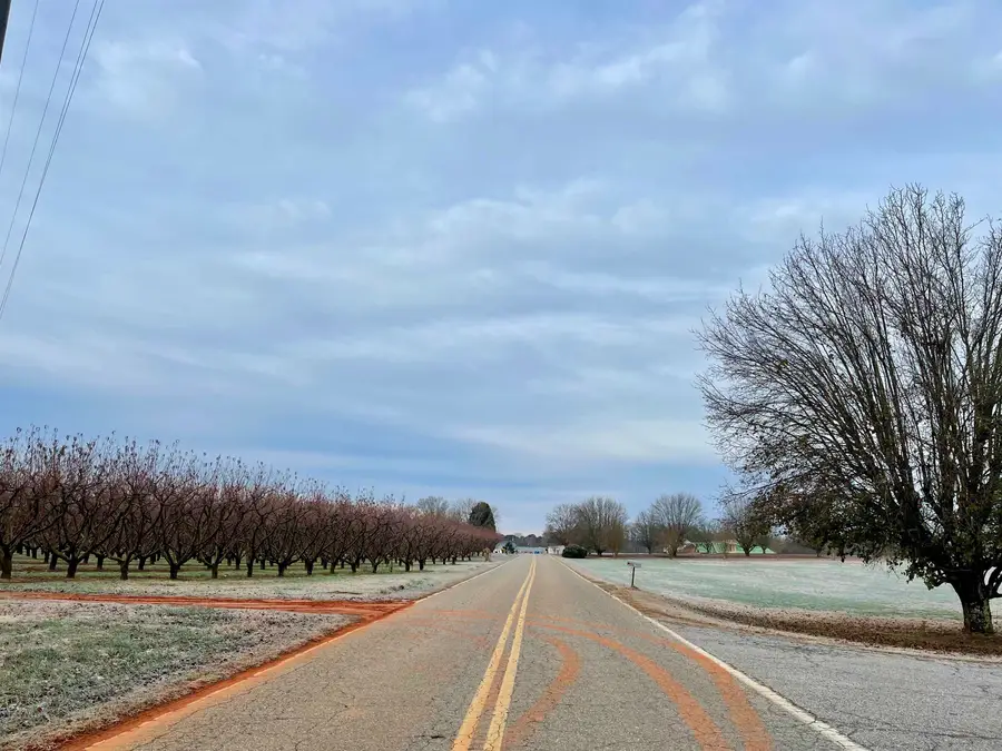 905 Henderson Road, Chesnee, SC 29323 - Image #2