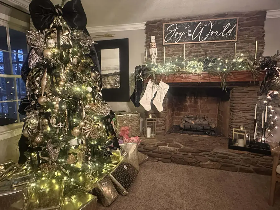 447 Henderson Road, Chesnee, SC 29323 - Image #3