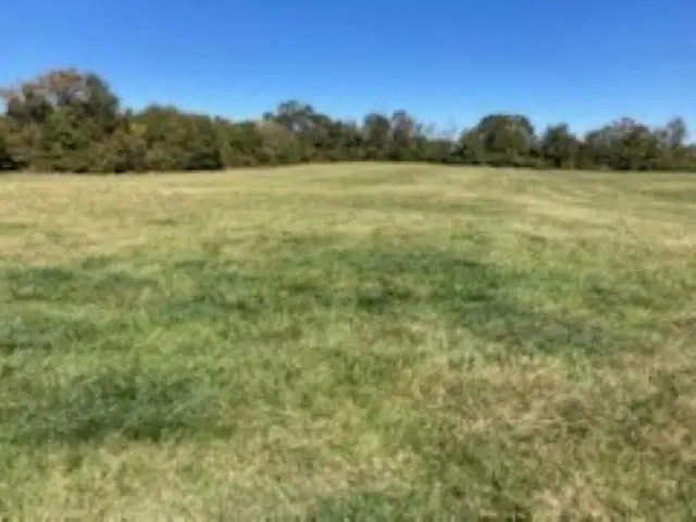 0 Cudd Drive, Chesnee, SC 29323-0845 - Image #2