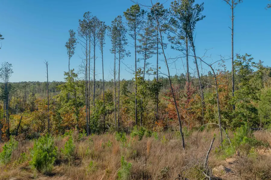 000 Quarter Round Road, Pacolet, SC 29372 - Image #3