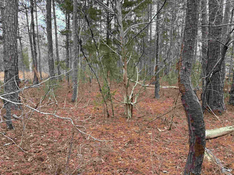 Lot 133 River Oaks Drive, Iva, SC 29655 - Image #3