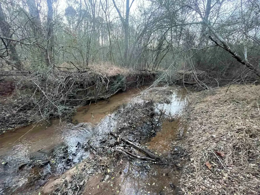 Hwy 221 N Greenwood Hwy, Laurens, SC 20360-0000 - Image #2