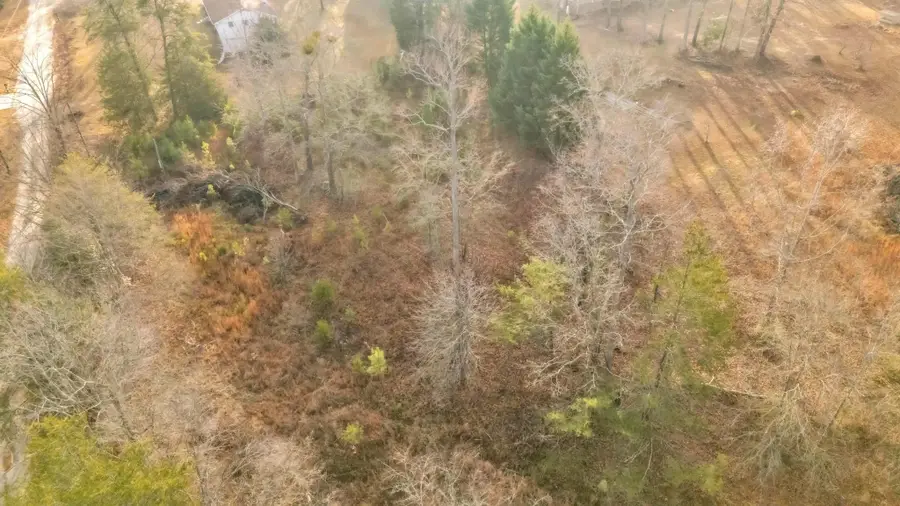 135 Raybrook Court, Taylors, SC 29678 - Image #2