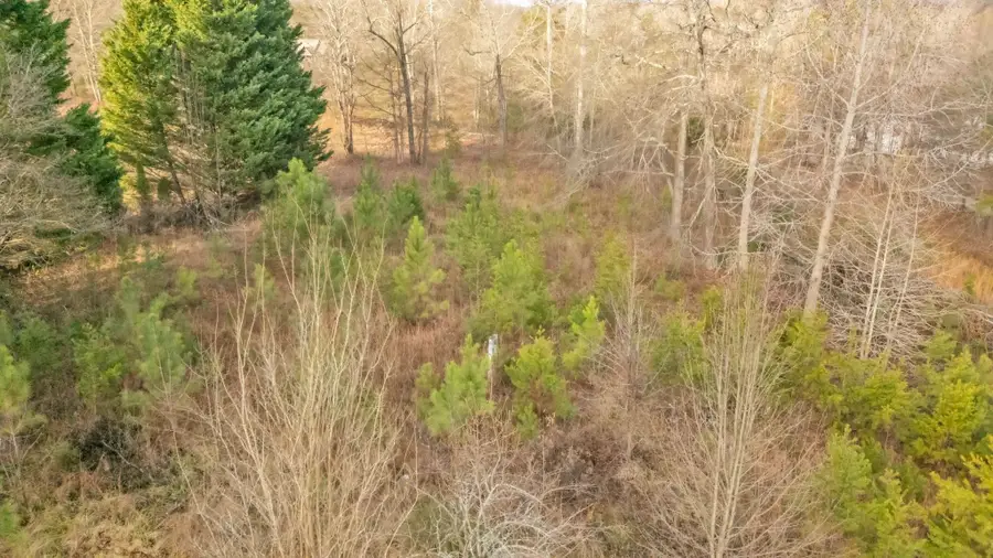 135 Raybrook Court, Taylors, SC 29678 - Image #3