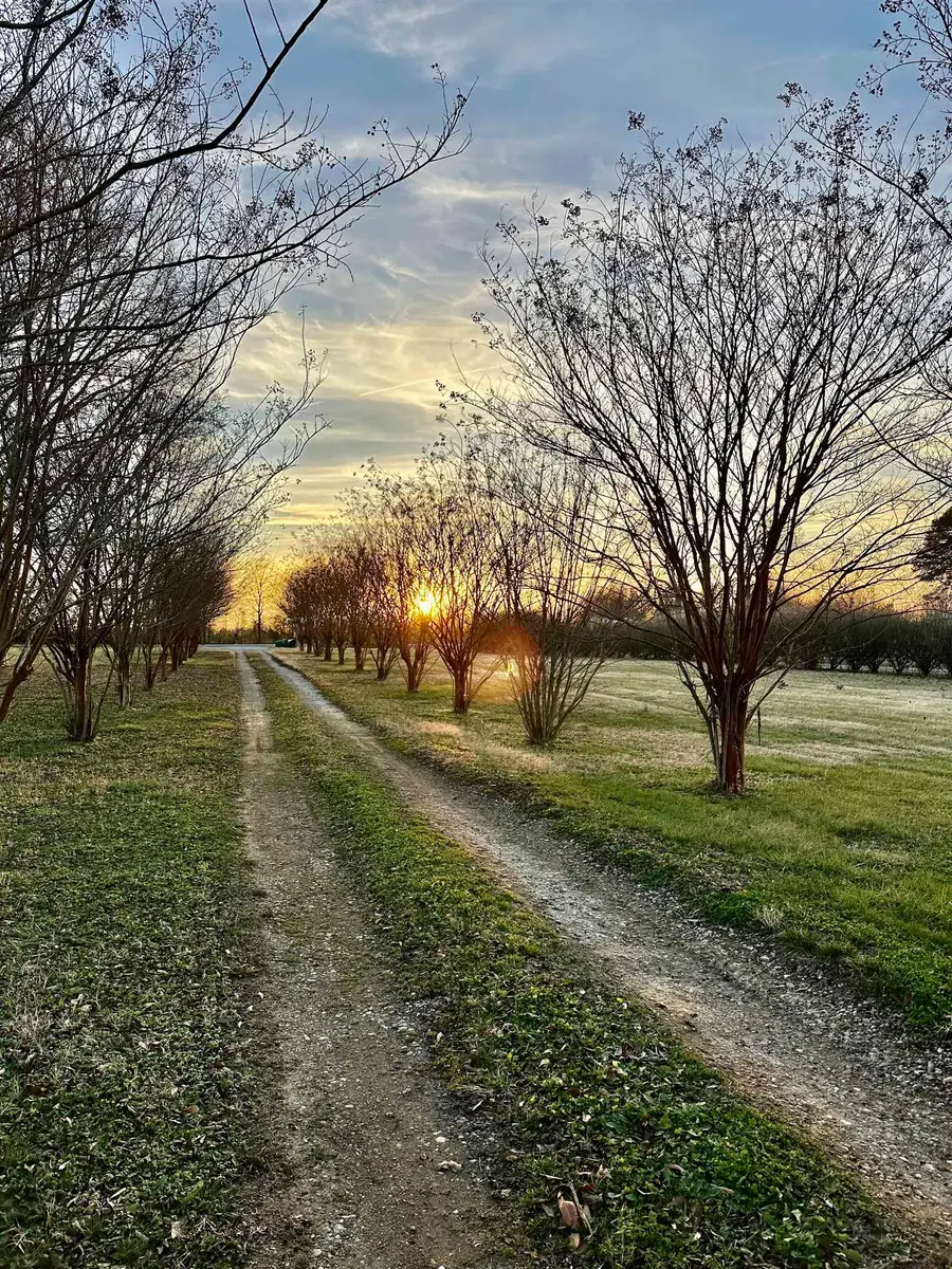 676 Buck Shoals Road, Gaffney, SC 29341 - Image #2