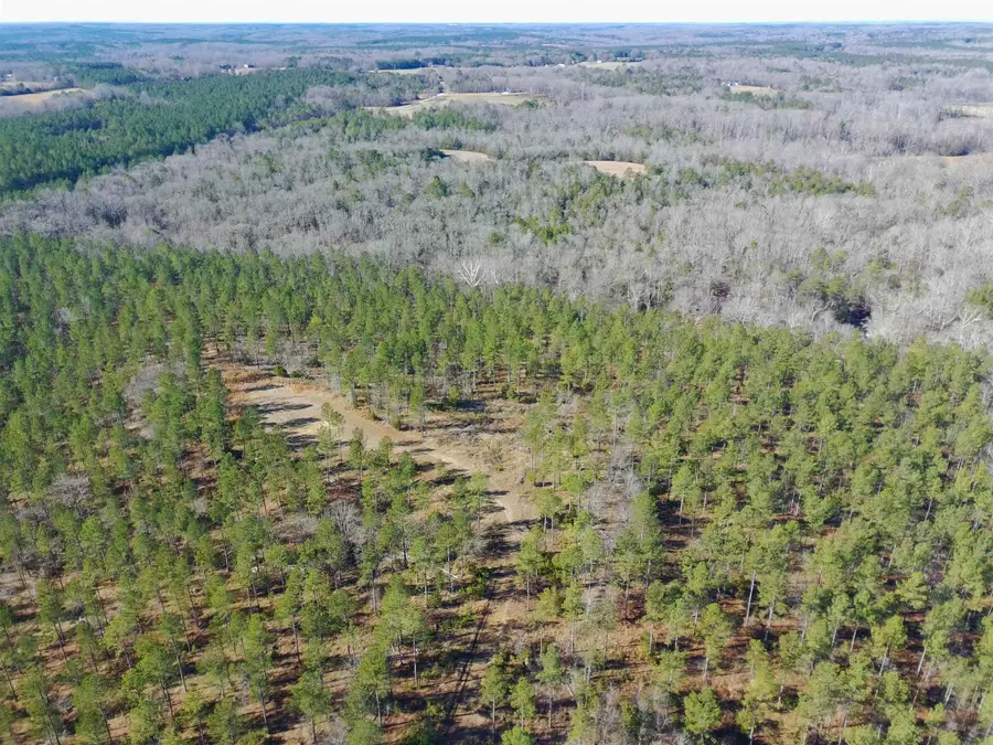 0 Fields Road, Pauline, SC 29374 - Image #3