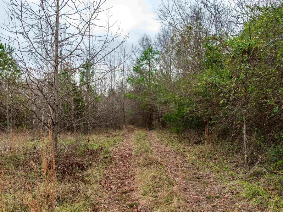 1611 Stewart Road, Woodruff, SC 29388-8272 - Image #3