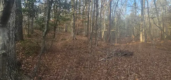 0 Bishop Road, Pauline, SC 29374