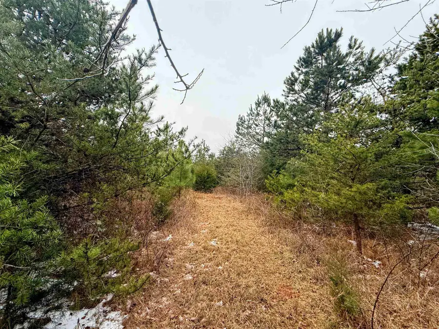 0 Peachtree Road, Chesnee, SC 29323 - Image #2