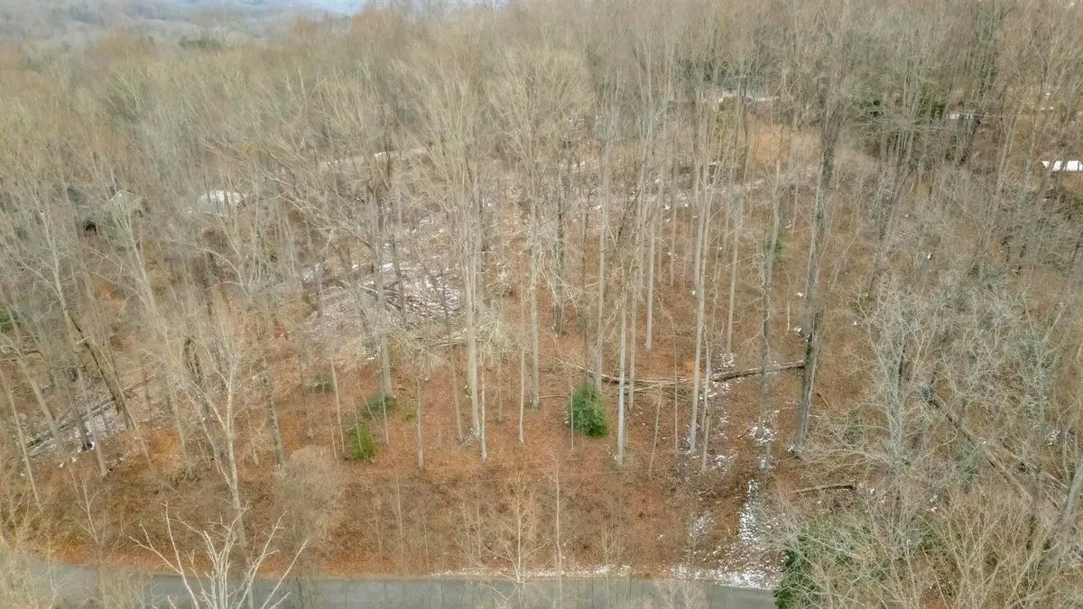 29 Forest Drive, Travelers Rest, SC 29690 - Image #1