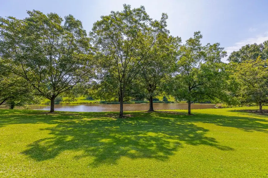 120 Rainey Mill Road, Campobello, SC 29322 - Image #3